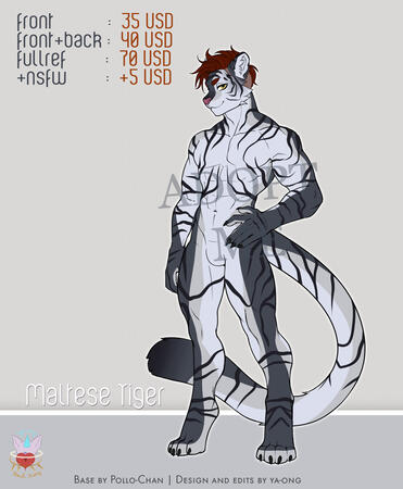 Maltese Tiger adopt refsheet! Muscular bodytype, blue-gray skin, dark gray stripes, dark red hair and orange eyes.. Price start at 35 USD for the front.